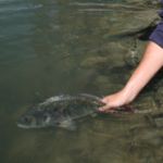 Opinion: Conservation shouldn’t be a dirty word